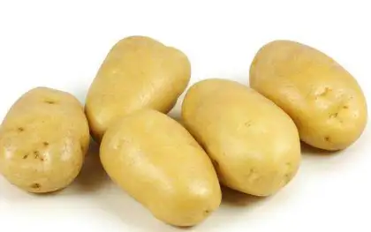 Selected Super Fresh Potato