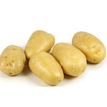 Selected Super Fresh Potato