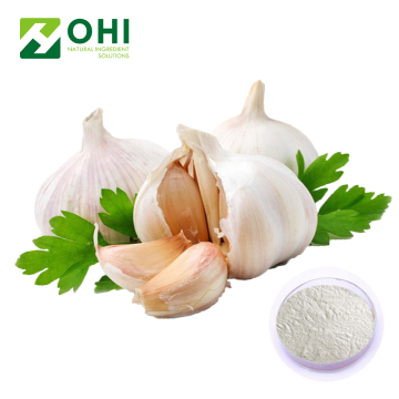 High Quality Extracts Manufactory Organic Bulk Garlic Powder