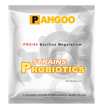 PRO/04 Bacillus Megaterium