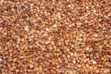 roasted buckwheat