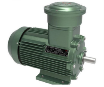 Moteur asynchrone triphasé Haute efficacité Meilleure qualité