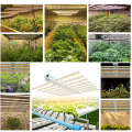 La mejor luz de cultivo de 1200W para el crecimiento de las plantas vegetales