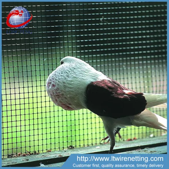 used for bird cage galvanized welded square wire mesh / welded wire mesh