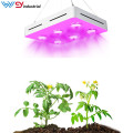 640W Fluence Spydr Indoor Samsung led grow light