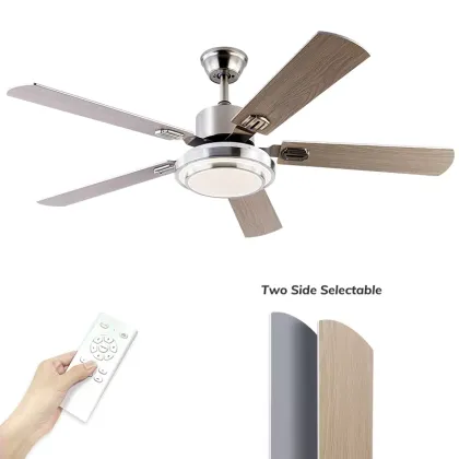 Modern Led Ceiling Fan with Light