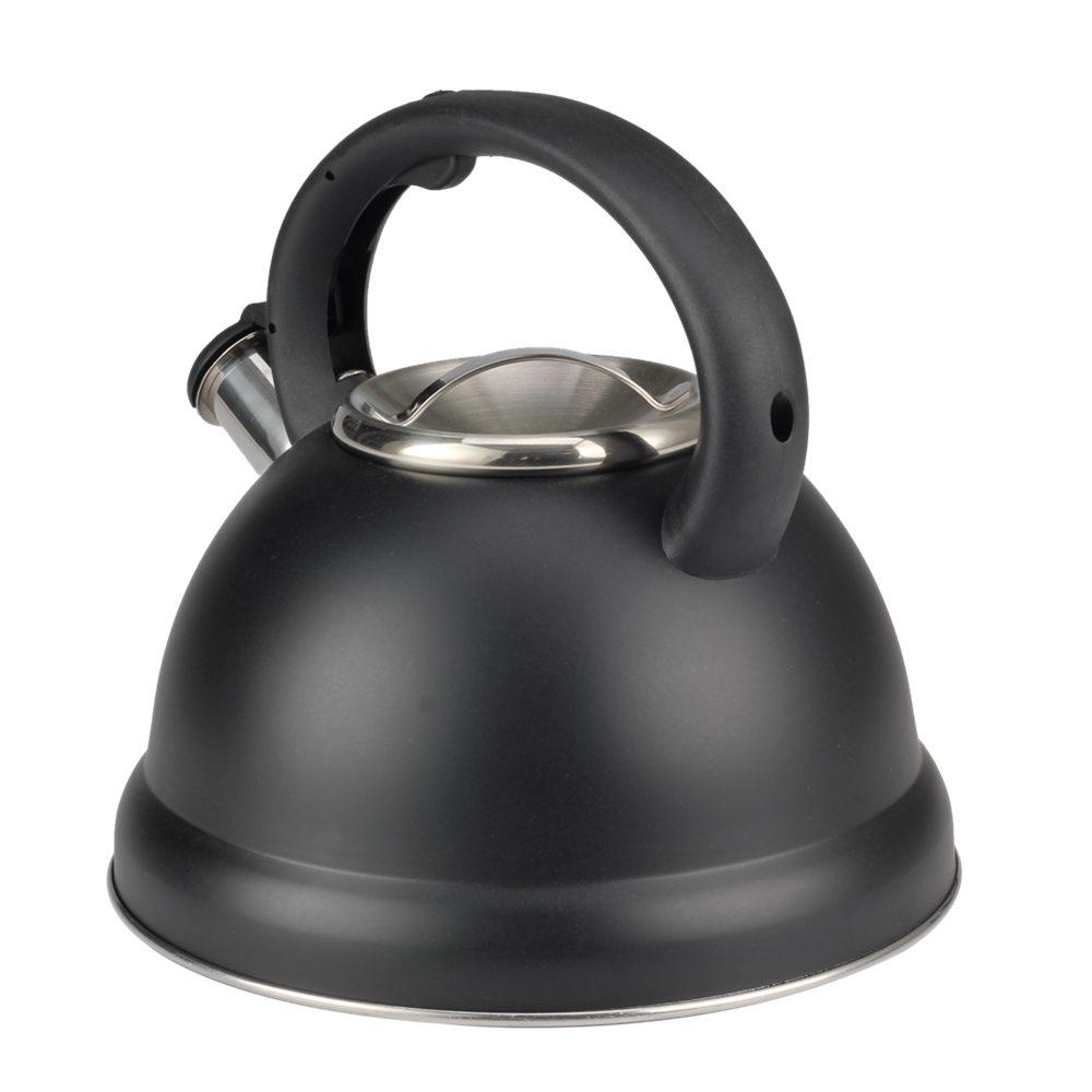 Food Grade Stainless Steel Painting Black Whistling Kettle China