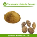 Terminalia Extrakt/Terminalia Chebula Extraktpulver