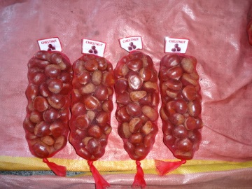 High Quality New Crop 2019 Chestnut