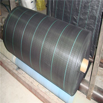 100GSM Black PP Ground Fabric, Anti Weed Ground Fabric