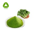 /msite/products/detail/productid/59550607/id/1001309.html