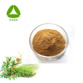 Dodder Seed Cuscuta Chinensis Semen CuScutae экстракт порошок