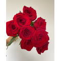 লাল নাওমি গোলাপ একক মাথার ফুল