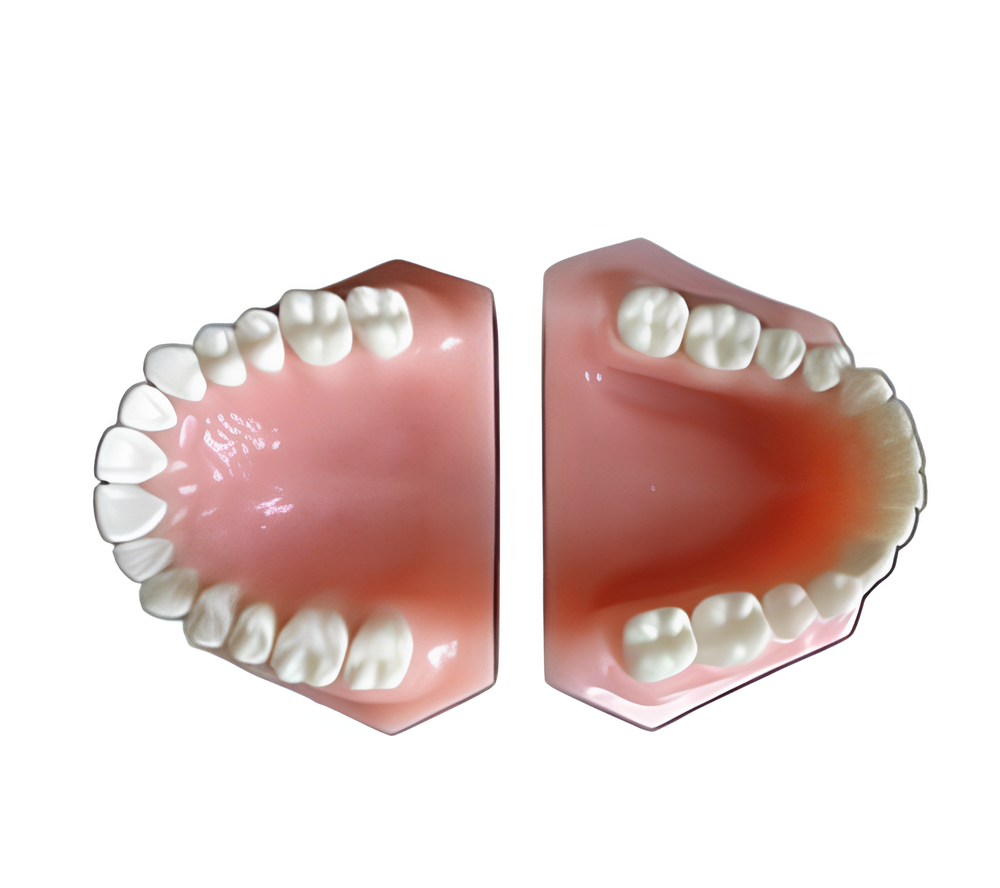 Conjunto de dientes de adultos (región del cuerpo)