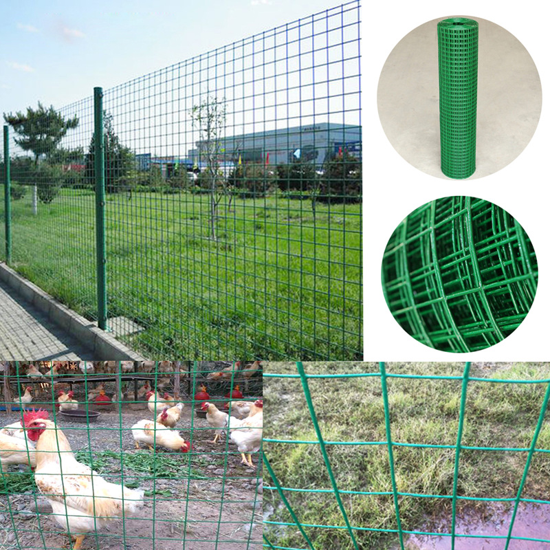 Green PVC coated welded wire mesh fence roll and poultry enclosure application -- manufactured by ANJIA 70,000sqm ISO facility