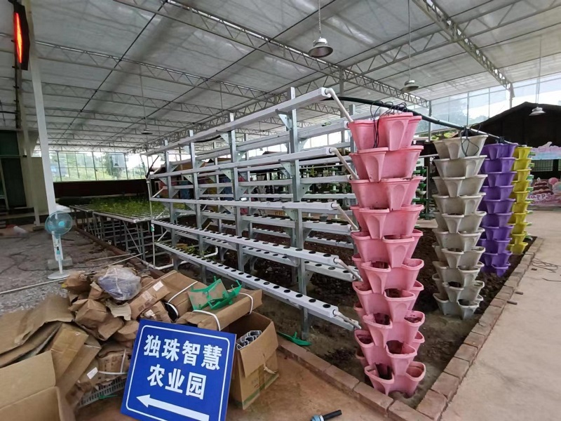 Qingcheng Agriculture has landed the Zhongxian Glass Greenhouse Project, showcasing a new landscape of modern agriculture with smart facilities