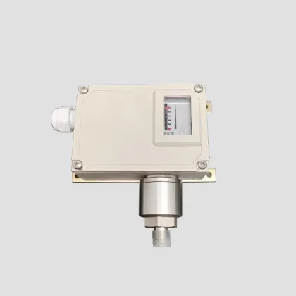 Hydraulic Pressure Switch for Water Pump Pressure Control - Low Pressure Controls