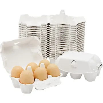 Biodegradable Chicken Egg Cartons for Refrigerator