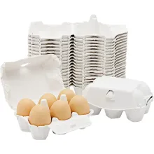 Biodegradable Chicken Egg Cartons for Refrigerator
