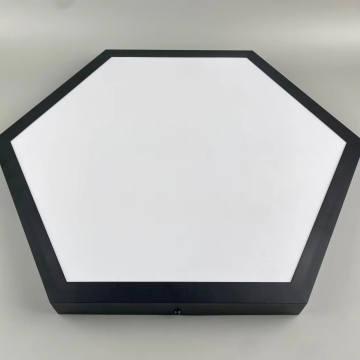 Jiaxing Trepower Co Ltd LED Ceiling Lamp for Bedroom and Living Room