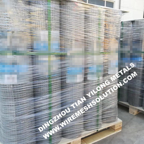 Welded Wire Mesh for Animals Galvanized