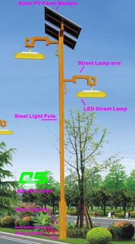 WPSRR-8906 3~15m Municipal Road Hot DIP Galvanized Steet Light Pole style
