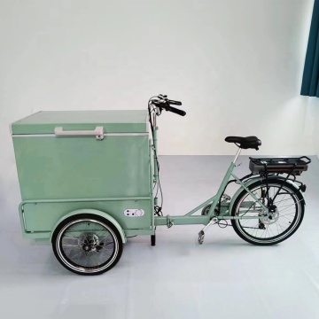 Micro-Business Solutions: Electric Ice Cream Bikes, Tricycles, and Gelato Carts for Small Businesses
