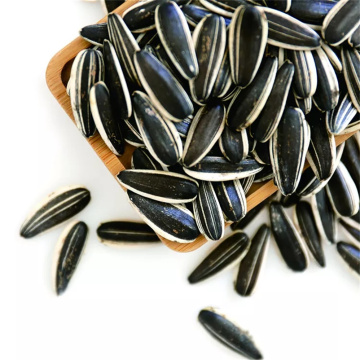 100% Raw sunflower seeds 601