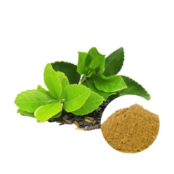 Natural Green Tea Extract Powder 20%-98%Polyphenols