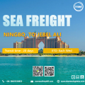 Frete marítimo do oceano de Ningbo a Jebel Ali
