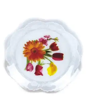 HW0966,PLASTIC FRUIT PLATE