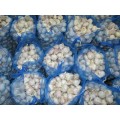 Cold Storage Fresh Normal White Garlic 2020