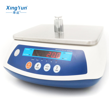 Xingyun XY6KA1WP 6KG 1G IP68 Scala impermeabile elettronica