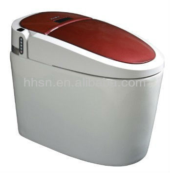 2014 Intelligent Toilet