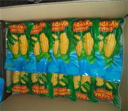 Golden yellow good taste sweet corn