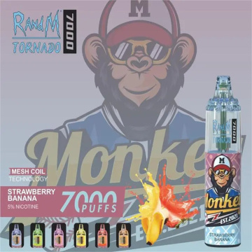 RandM Tornado 7000 Disposable Vape Puff Bars