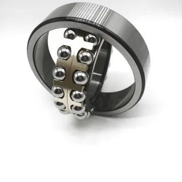 Double Row Self-Aligning Ball Bearings 1319 1320 1322 for Manufacturing Plants