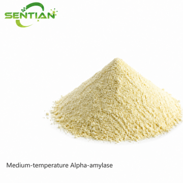 Medium-Temperature Alpha-Amylase for Starch Liquefaction