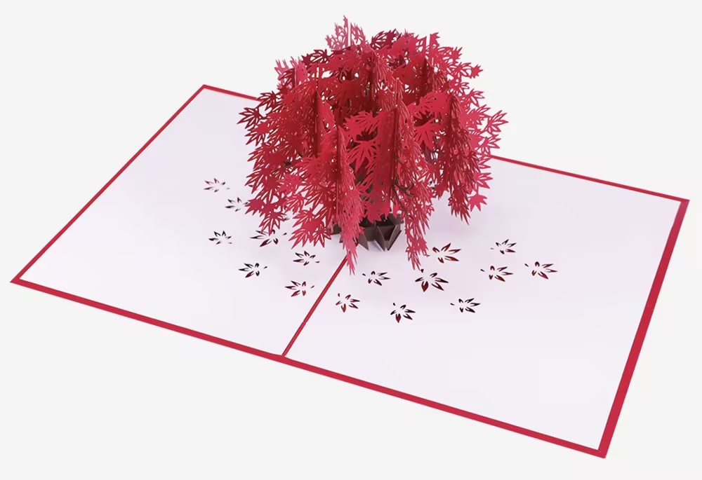 Valentine's Day 3D Pop-up Card