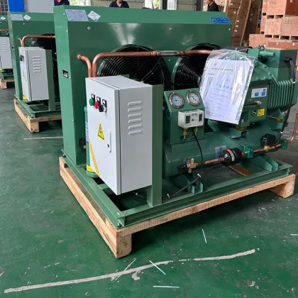 Chinese Suppliers: ECX-5060M Electrochemical Cream Remote Control Electrical Control Panel Box for Cold Room Applications