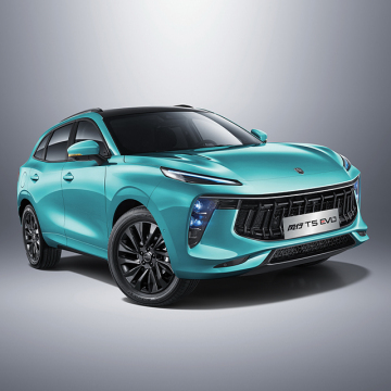 Direct Factory Sale: Latest 1.5TD High-Speed Petrol Cars T5 Evo from China