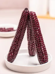 Purple Sticky Corn Delight for Healthy Snacking