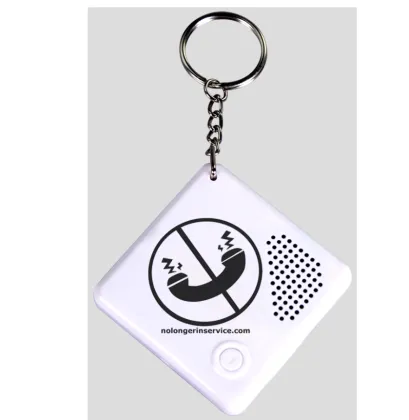 Custom Sound Voice Keychain with Logo