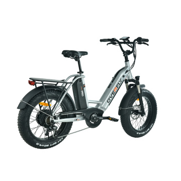 XY-Golf Fettreifen kleines Elektrofahrrad