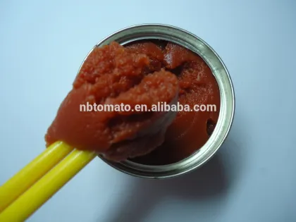 70G China Factory Hot Sell Nature Canned Tomato Paste