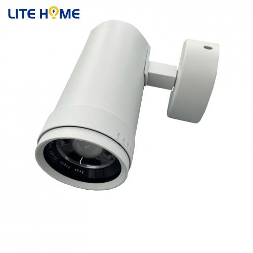 LED -Shop Light Spot Cob 30w Track Light