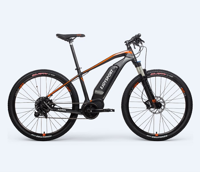 Electric Bicycle