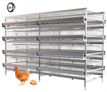 Competitive Price Factory Supply 256 Bird Chicken Cage for Increased Egg Production