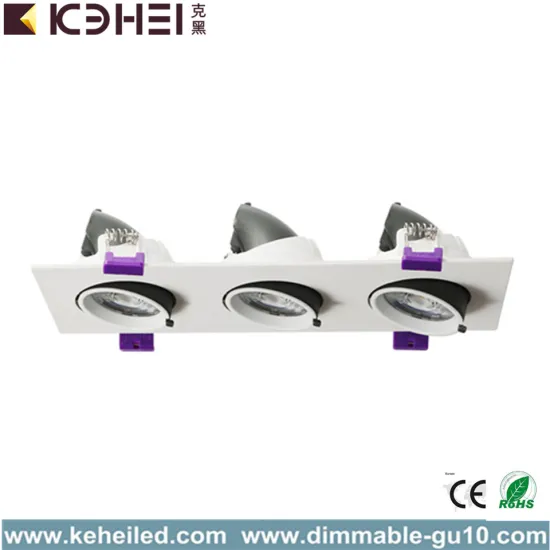 High Power LED Trunk Downlight Spotlight 36W 5000K