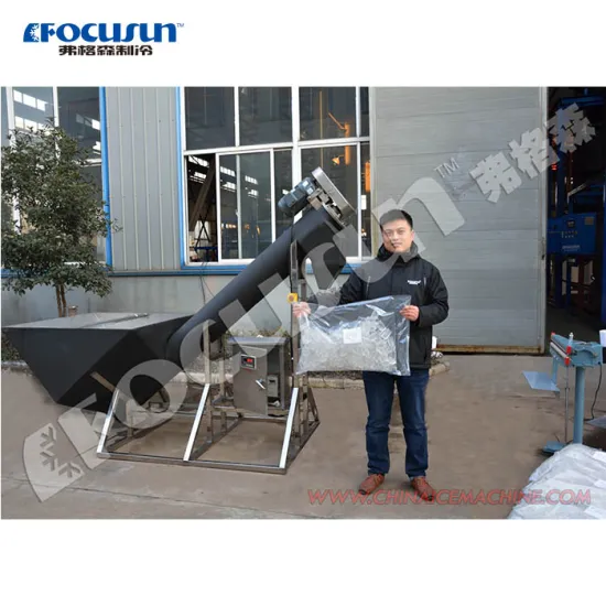 Easy-to-Operate Plastic Ice Bag Electric Semi-Automatic Packer Machine